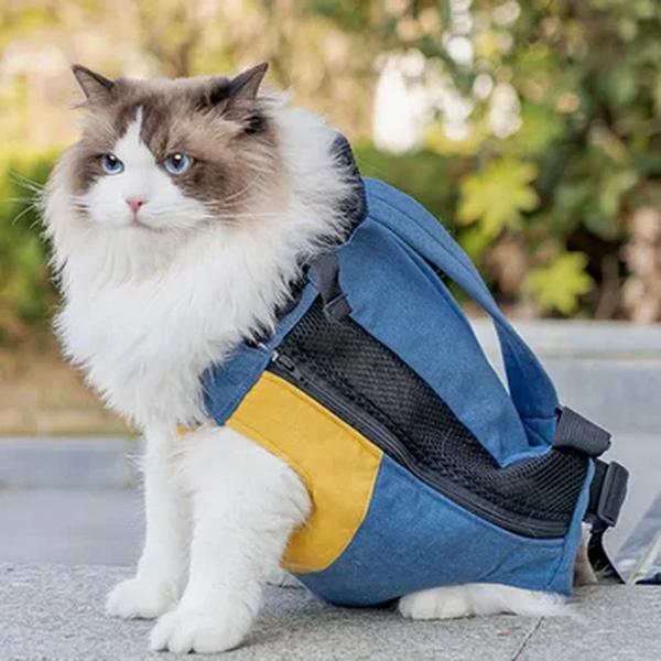 Mochila de algodão para gatinho, Gato carregando saco, Design transportadora, Cat Supplies
