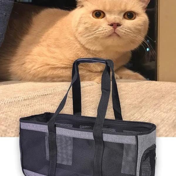 Airline Aprovado Pet Carrier Bag, Mochila lateral macia, Sacos de viagem, Transporte para cães pequenos e gatos, Outgoing