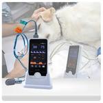GISTARPET-Equipamento de Diagnóstico e Monitoramento, Monitor Portátil de Oxigênio Sanguíneo, Hospital Veterinário Pet, NIBP, ETCO2, SPO2, PR
