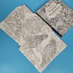 Millie Marotta's Tropical Wonderland Coloring Book, Postais para colorir, 30 folhas