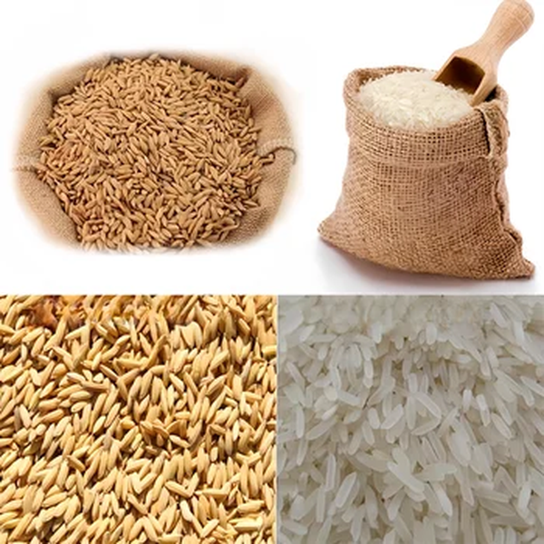 Pequena máquina de polir moinho de arroz Portátil Combinado Peeling de arroz eficiente Mini moinho de arroz com motor para uso doméstico